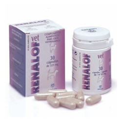 RENALOF 90CAP CATALYSIS