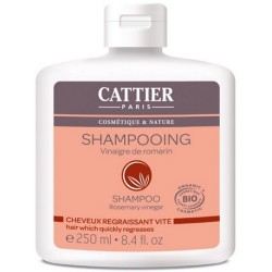 CHAMPU CABELLOS GRASO 250ML