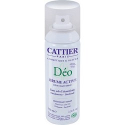 DESODORANTE SPRAY BRUME ACTIVE AEROSOL 100 ML