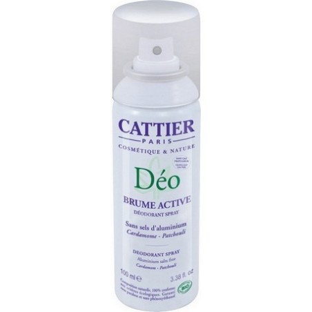 DESODORANTE SPRAY BRUME ACTIVE AEROSOL 100 ML