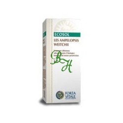 LES AMPELOPSIS WEITCHII 50ML