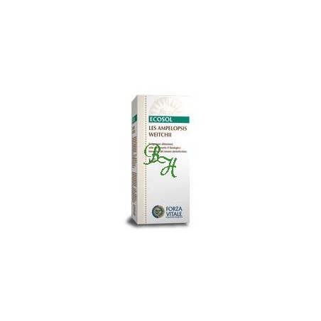 LES AMPELOPSIS WEITCHII 50ML