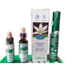 BACH RECOVERY PLUS 20ML
