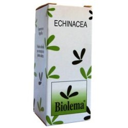 EXT ECHINACEA