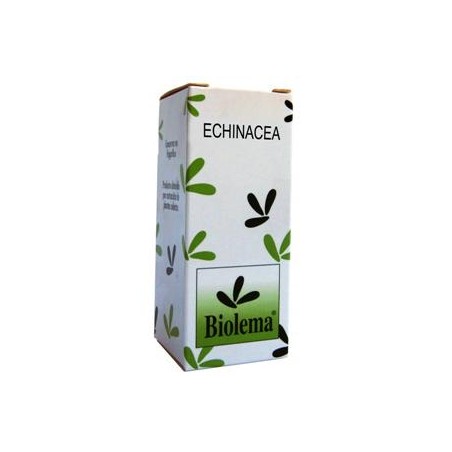 EXT ECHINACEA
