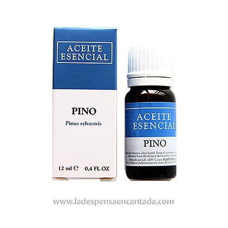 ESENCIA PINO PLANTA POL