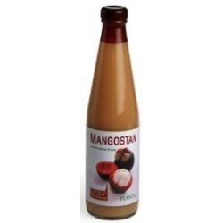 ZUMO MANGOSTAN 500ML PLANTIS