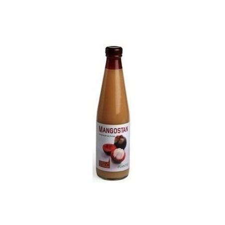 ZUMO MANGOSTAN 500ML PLANTIS