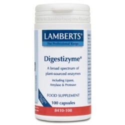 DIGESTIZYME 100CAP LAMBERTS
