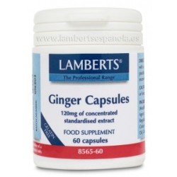 JENGIBRE 60CAP LAMBERTS