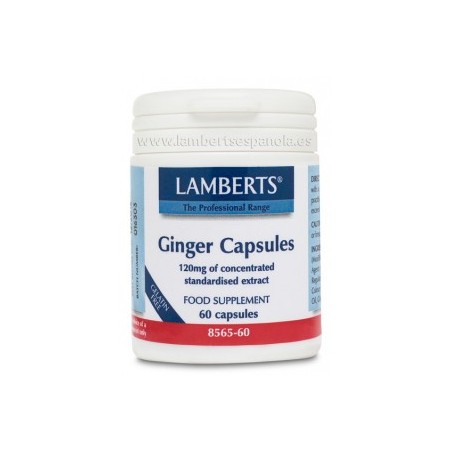 JENGIBRE 60CAP LAMBERTS