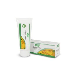 ABSOLUT ARNICA 100ML VOGUE