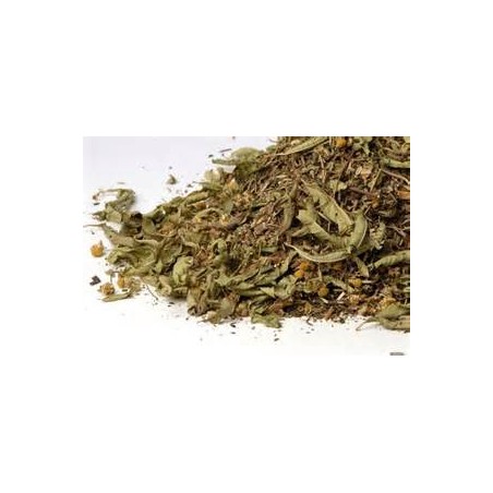 DIENTE DE LEON 1KG NATURA PINISAN