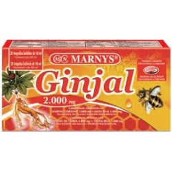GINJAL 2000MG 20AMP MARNYS