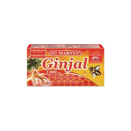 GINJAL 2000MG 20AMP MARNYS