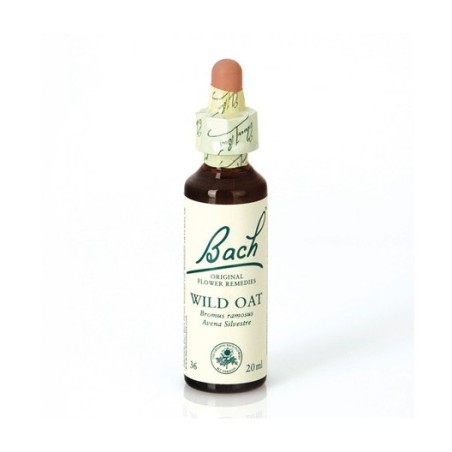 BACH N 36 WILD OAT 20ML AVENA