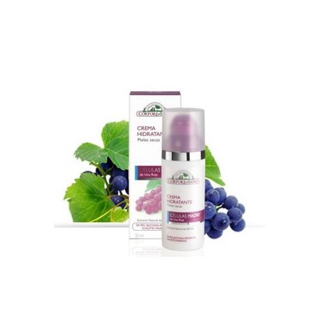 CREMA HIDRATANTE CELULA MADRE
