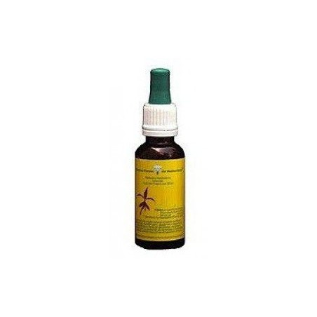 ROMERO FLOR DEL MEDITERRANEO 20ML