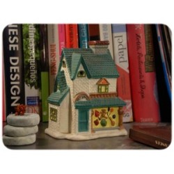 CASA JUGUETERIA TOY SHOP -993300
