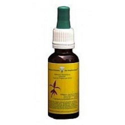 CALABACIN 20ML FLOR DE MEDITERRANEO