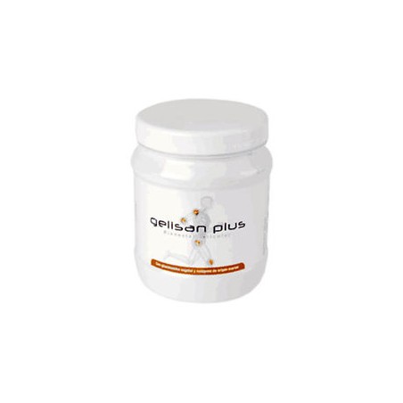 GELISAN PLUS 300GR A.A