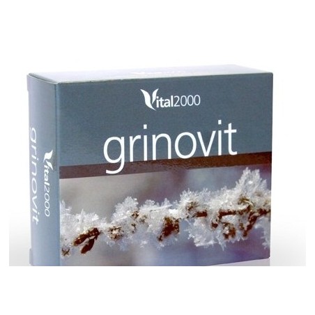 GRINOVIT 60COMP.V.2000