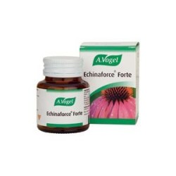 ECHINAFORCE FORTE 30COM VOGUEL