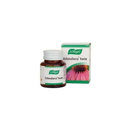 ECHINAFORCE FORTE 30COM VOGUEL