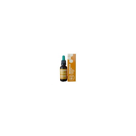 HOLOPROLIS 31ML EXTRACTO