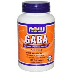 GABA 500 MG NOW
