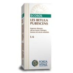 LES BETULA PUBESCENS 50ML