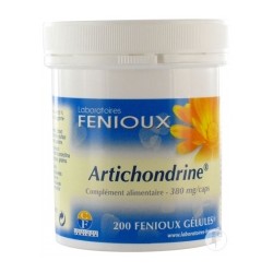 ARTICHONDRINE 380MG 200CAP FEN