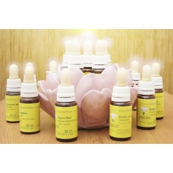 ESENCIA FLORAL RUDA 20 ML