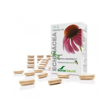 FXXI EQUINACEA 30CAP. S.N