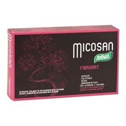 MICOSAN FIBROART 40 CAPS SANTIVERI