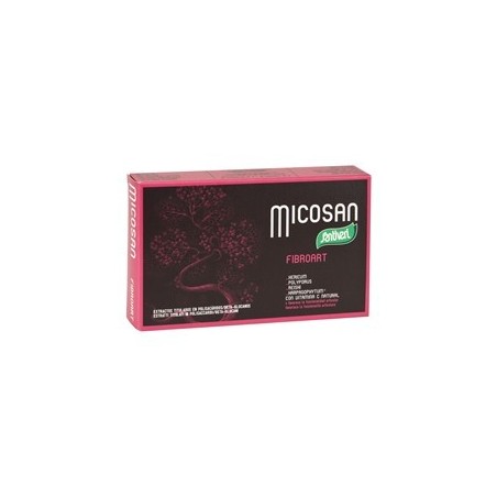 MICOSAN FIBROART 40 CAPS SANTIVERI