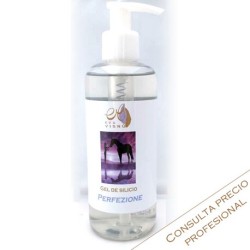 GEL DE SILICIO PERFEZIONE 250ML EVA VISNU