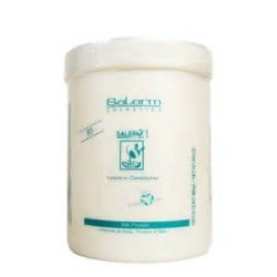 SALERM 21 MASCARILLA TARRO 1.000 ML