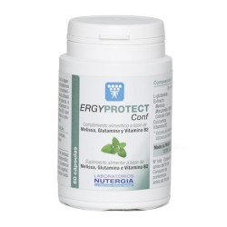 ERGYPROTECT CONF 60CAP NUTERGI
