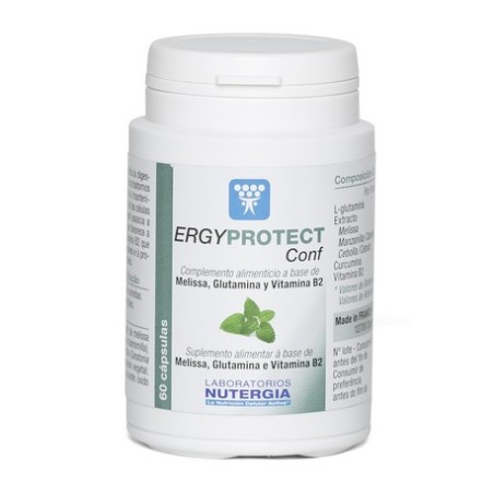 ERGYPROTECT CONF 60CAP NUTERGI
