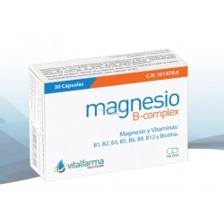 MAGNESIO+B-COMPEX 30CAP vitalf
