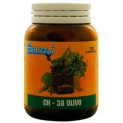 OLIVO BELLSOLA