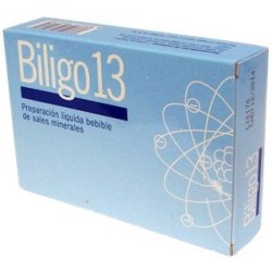 BILIGO 13 AL 20AMP
