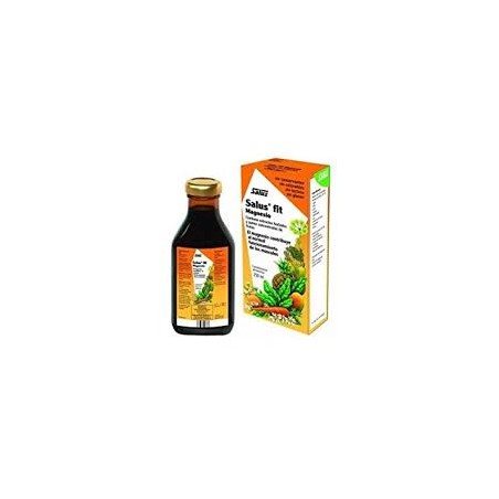 SALUS FIT MAGNESIO 250 ML