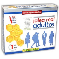 JALEA REAL ADULTOS 15VIAL PINISAN