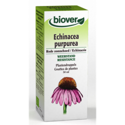 EXTRACTO ECHINACEA 50ML BIOVER