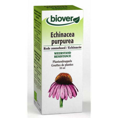 EXTRACTO ECHINACEA 50ML BIOVER