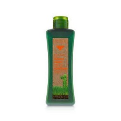 Biokera champu cabellos tratados 1000ml