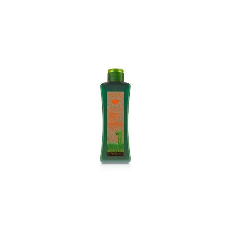 Biokera champu cabellos tratados 1000ml