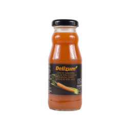 ZUMO DE ZANAHORIA Y ALOE 200ML DELIZUM